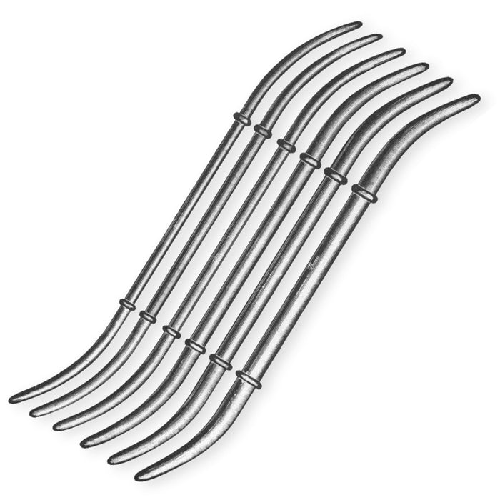 Hank Uterine Dilators