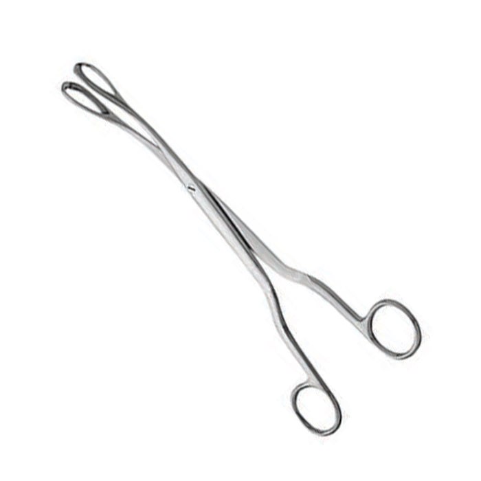 RE-310-01 Winter's Placenta And Ovum Forceps, Straight, Fig.1, 290 Mm - Foto 3
