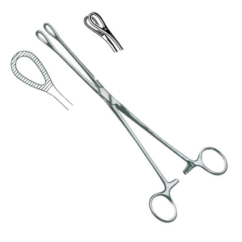 Ringed Surgical Instruments Foerster Sponge Holding Forceps